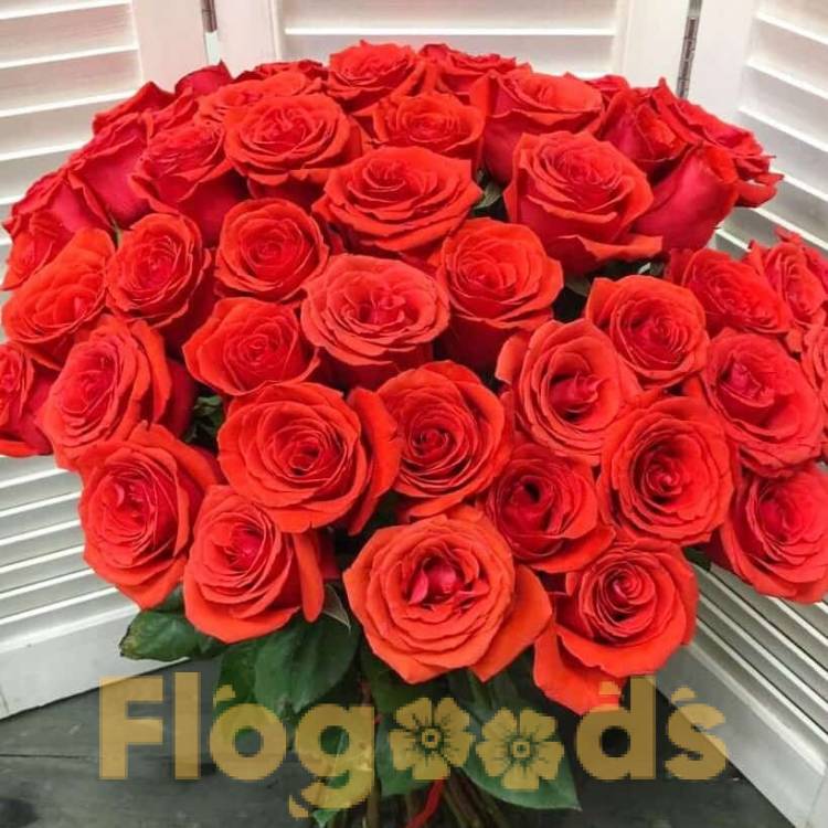 51 красная роза за 19 603 руб.
